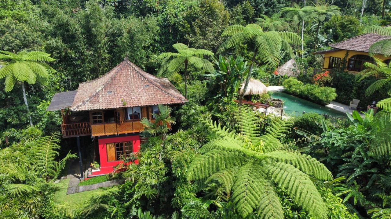 Sarinbuana Eco Lodge Blimbing  Extérieur photo